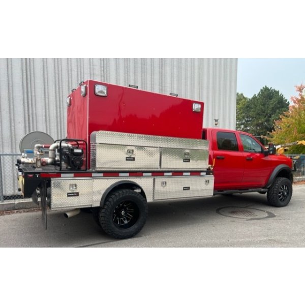 Rear Quarter